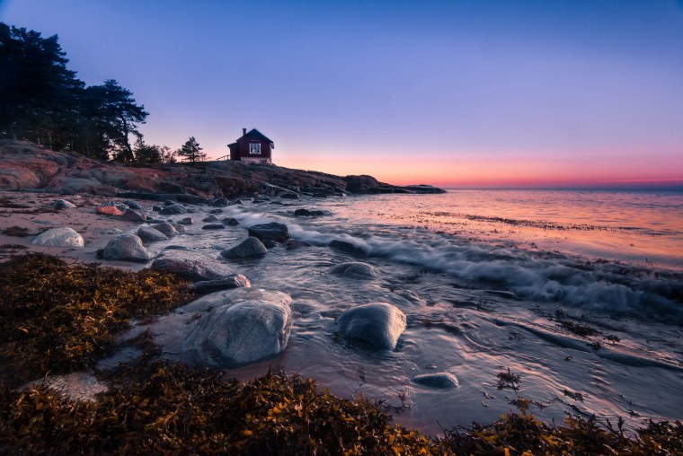 Балтийское море Калининград сосны осень