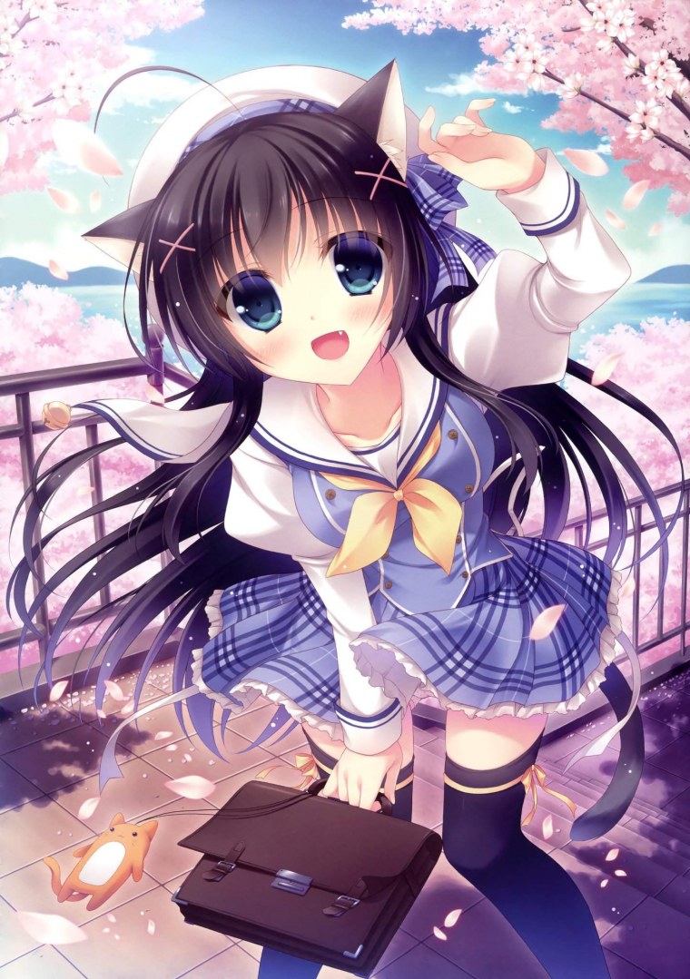 Аниме кошки