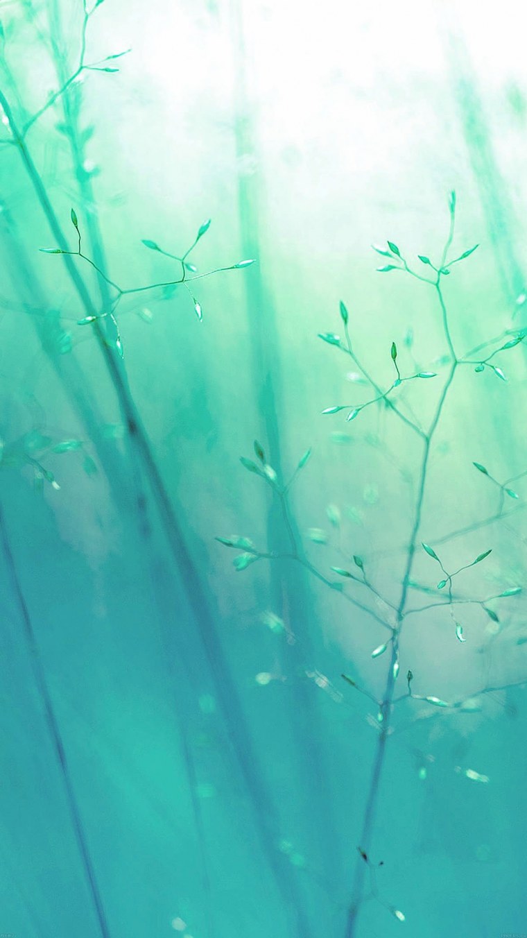 Зелено бирюзовый фон