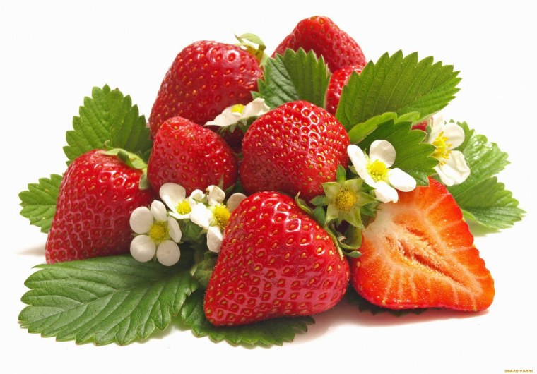 Куст земляники на белом фоне