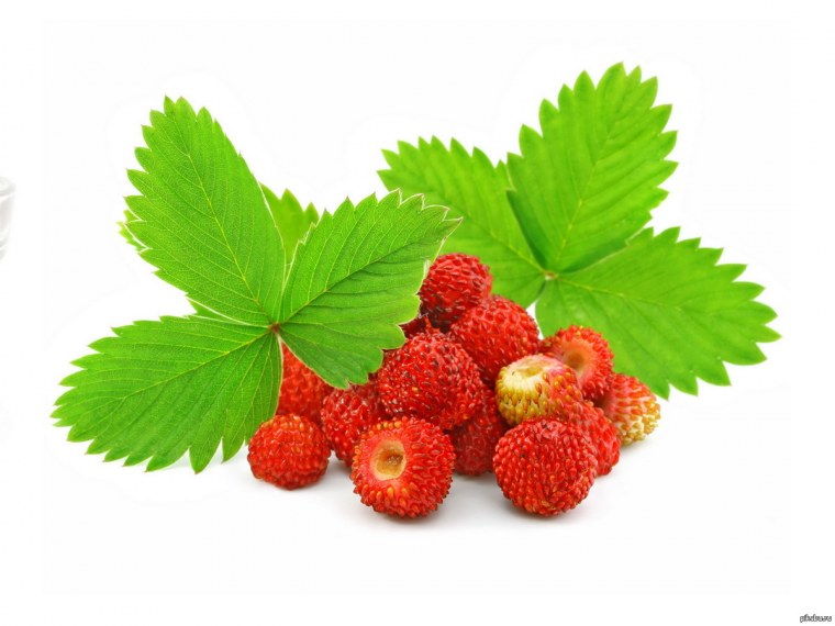 Земляника для детей