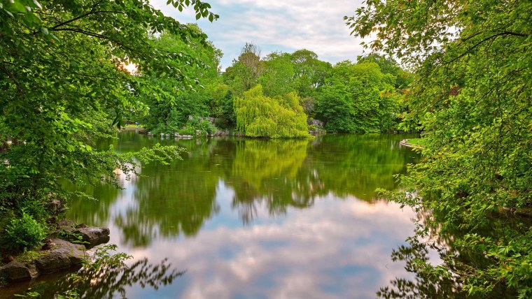 Летняя природа