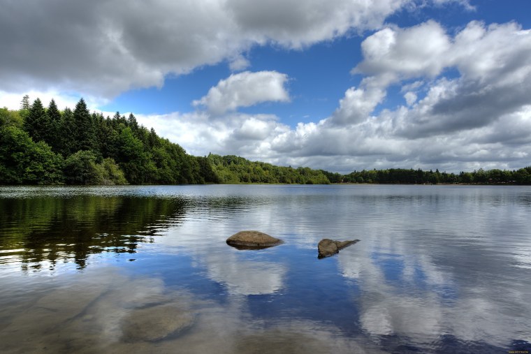 Берег у озера травянистый