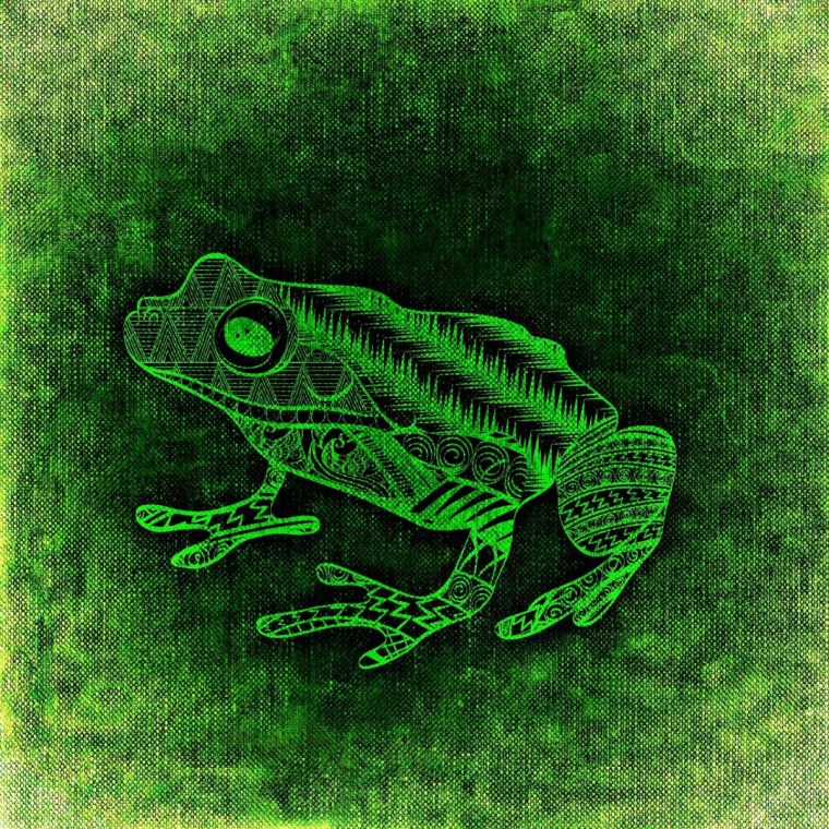 Лягушки на аву из тик тока