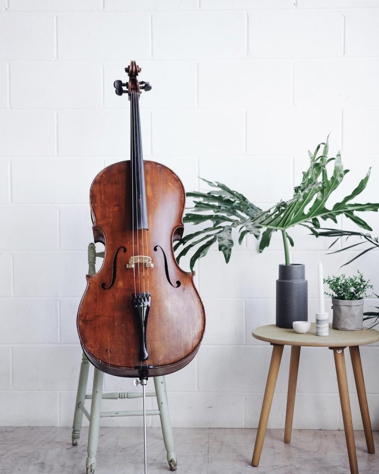 Виолончель инструмент
