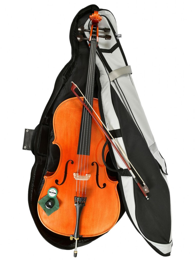 Andrew Fuchs l-1 4/4 скрипка