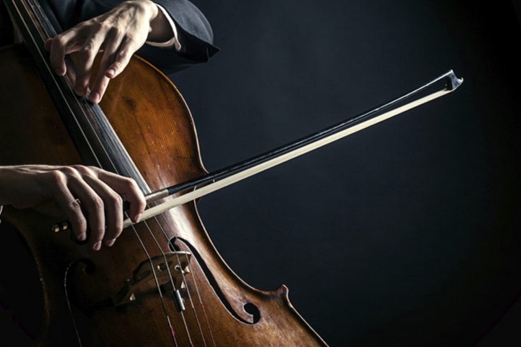 Алексей Селезнев виолончель