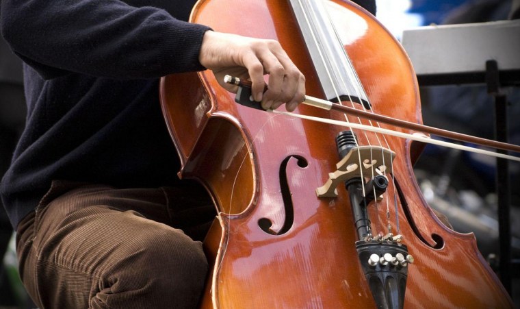 Скрипач Альтист виолончелист контрабас