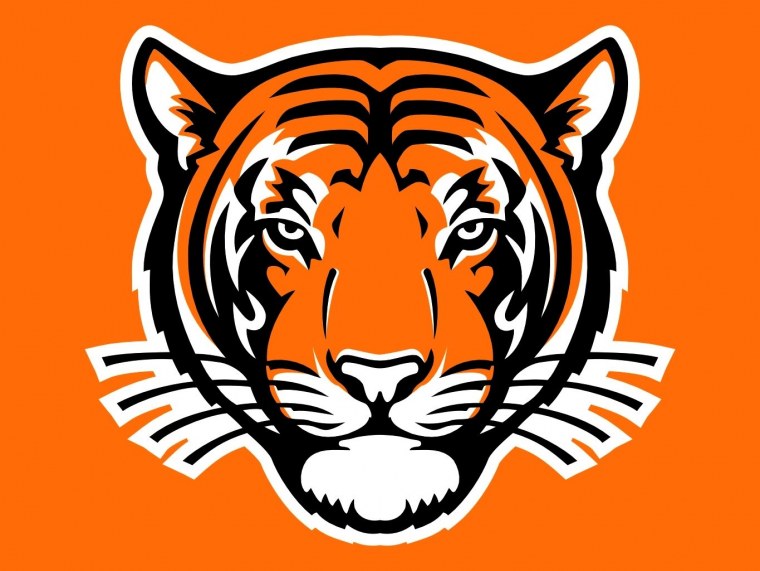 Тигр черно белый