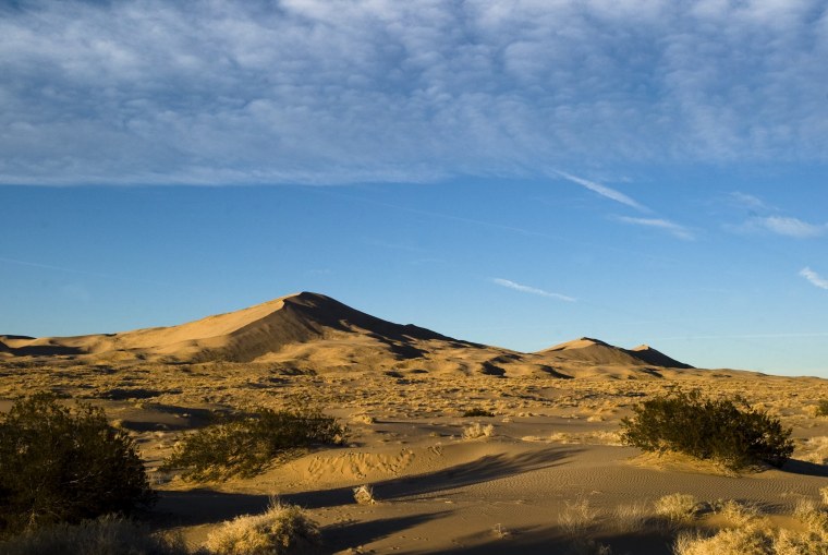 Америка пустыня Мохаве