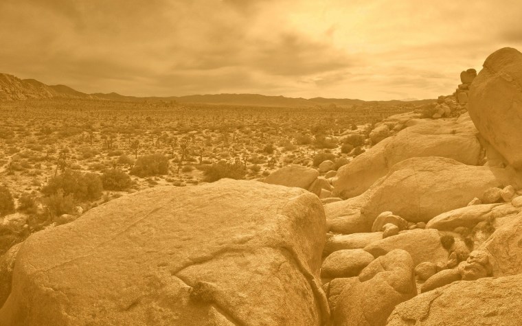 Пустошь Мохаве