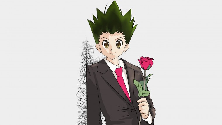 Hunter × Hunter Гон