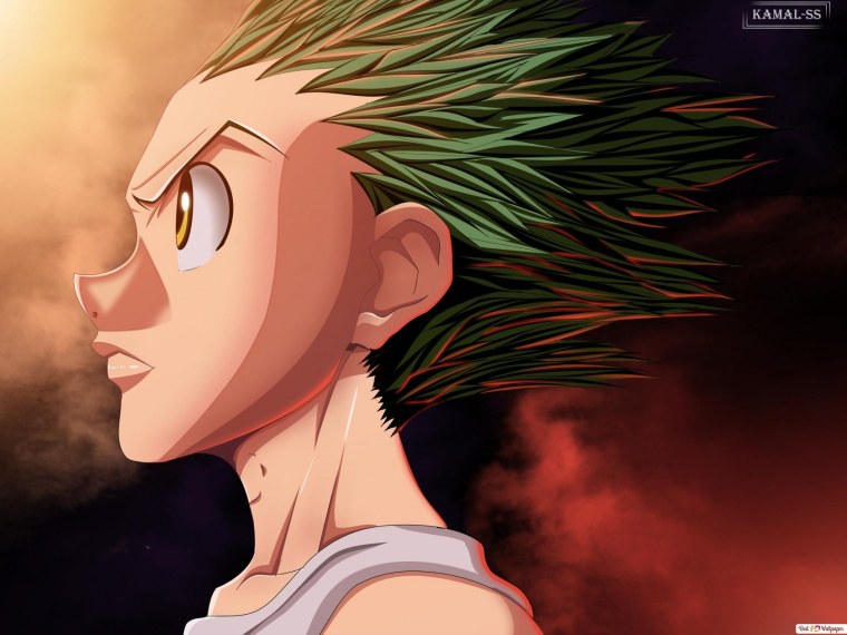 Хантер х Хантер Гон 1920 x 1080