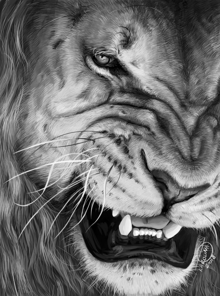 Логотип Льва на черном фоне