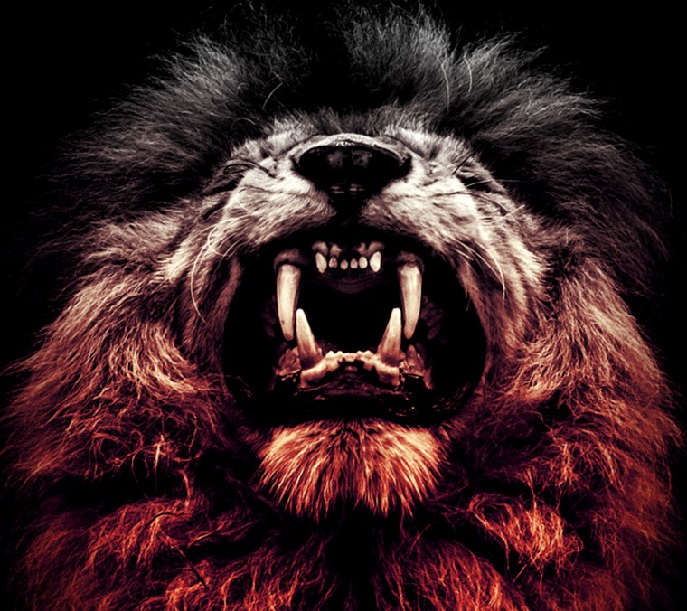 Лев абстракция