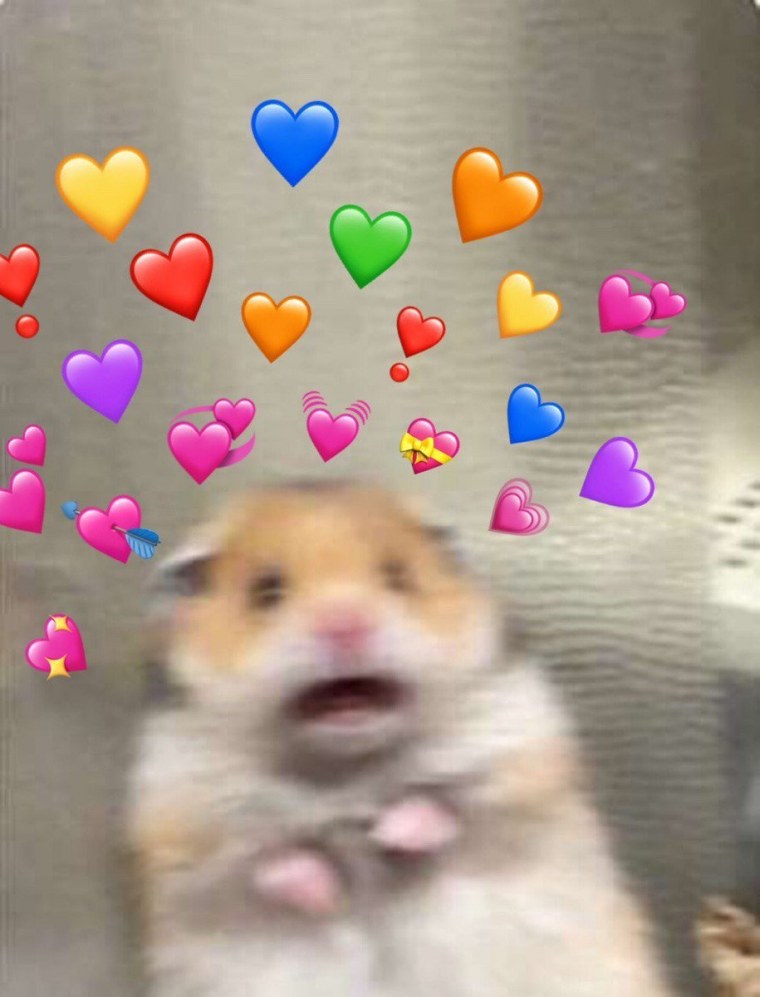 Милые хомяки на аву