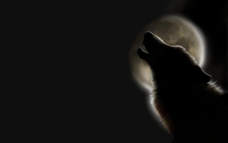 Волк на рабочий стол