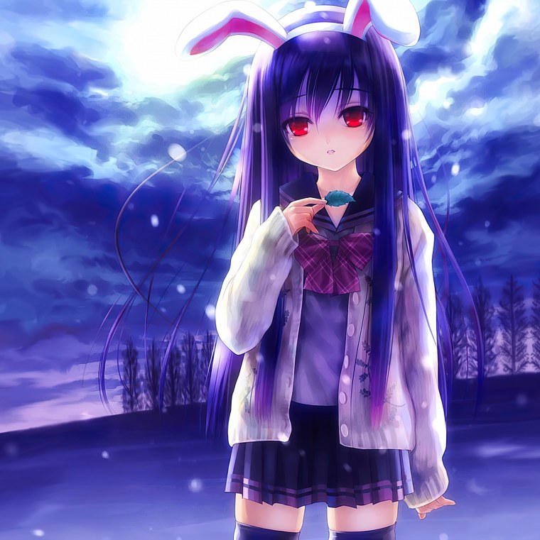 Кролик Инаба