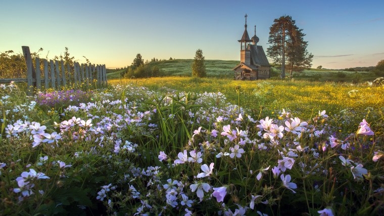 Англия Девоншир Весна