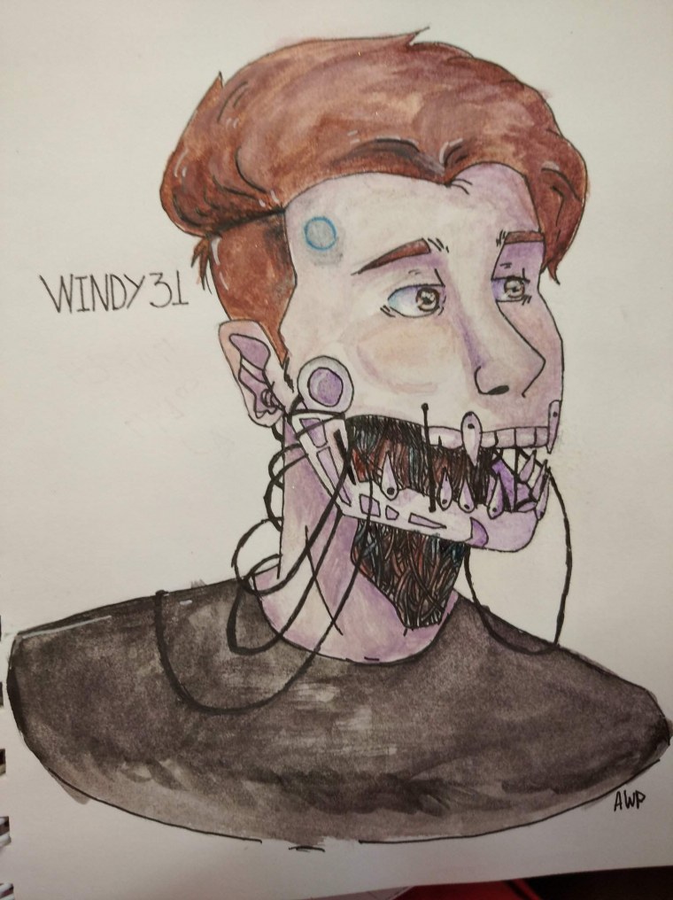 Винди 31 шип