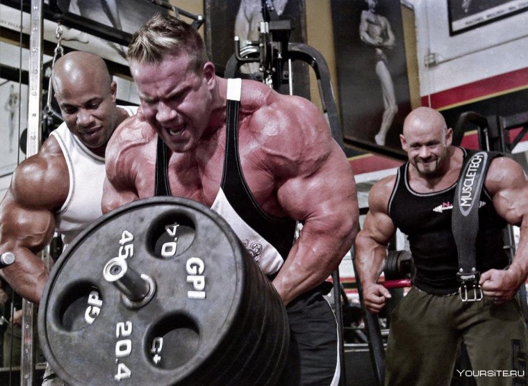 Арнольд Шварценеггер