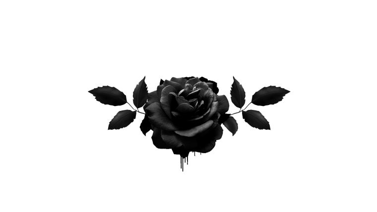 Векторное изображение розы