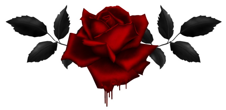 Шипы роз для фотошопа