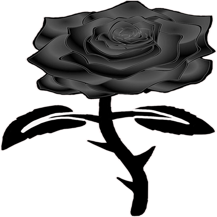 Черная роза на прозрачном фоне