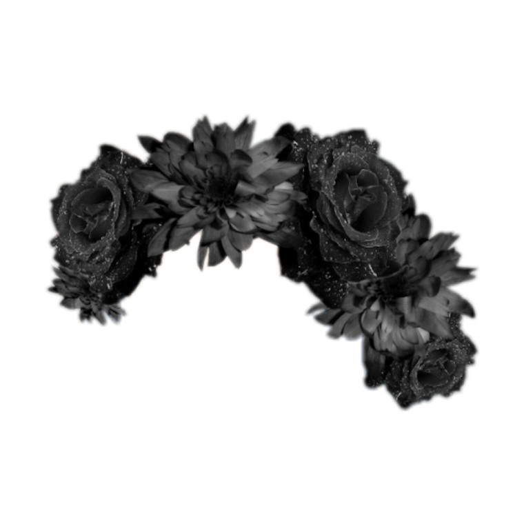 Очертания розы