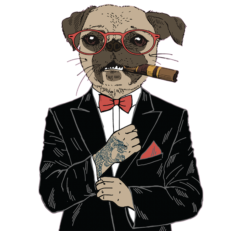 Животные в смокинге