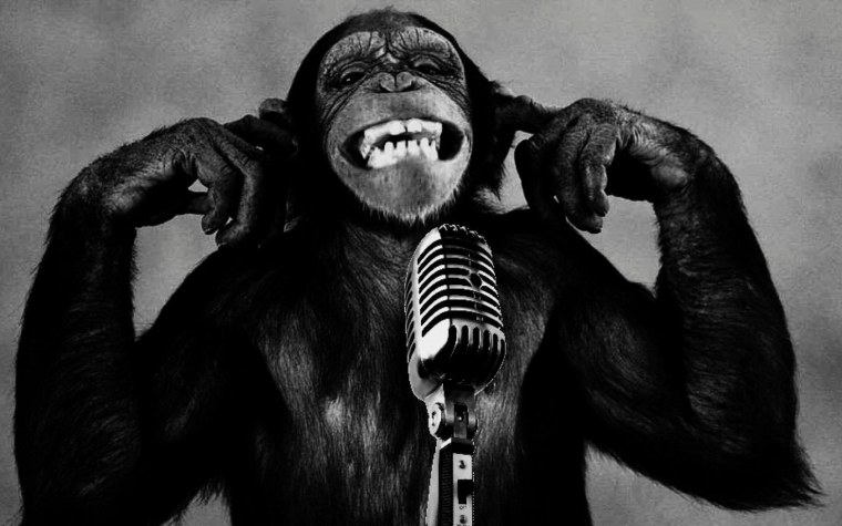 Обезьяна бизнесмен