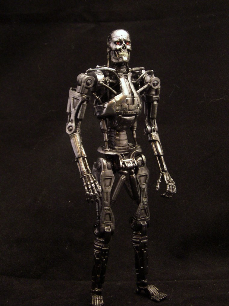 T800 NECA Endo