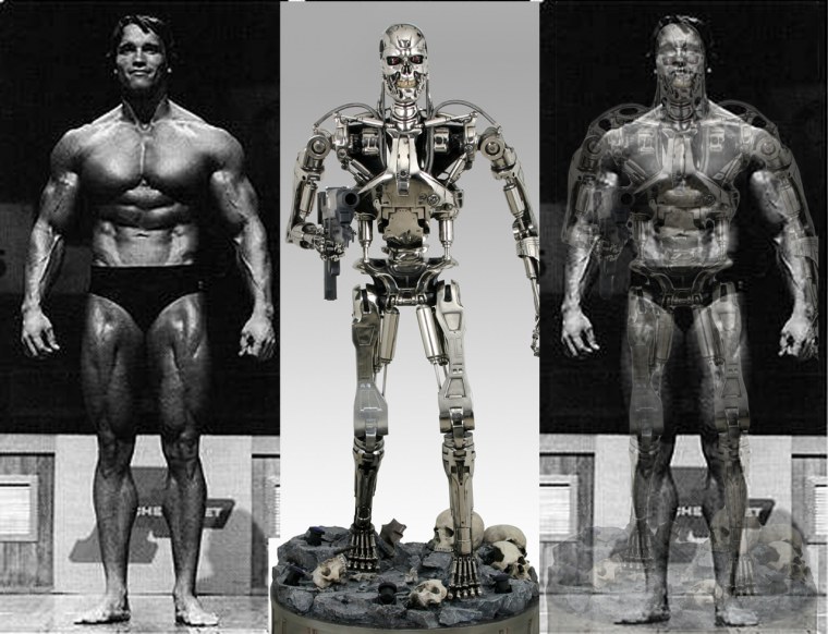 Т 850 эндоскелет