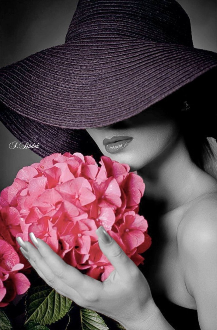 Роза и бабочка