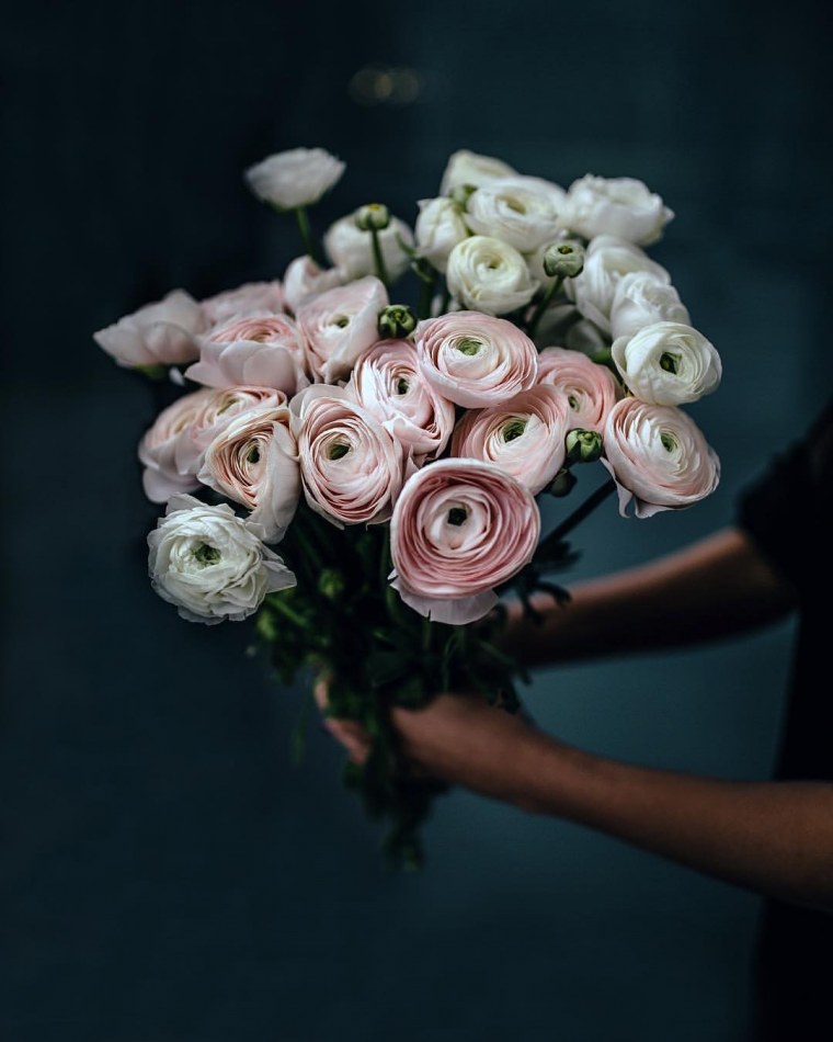 Человек с цветком в руке