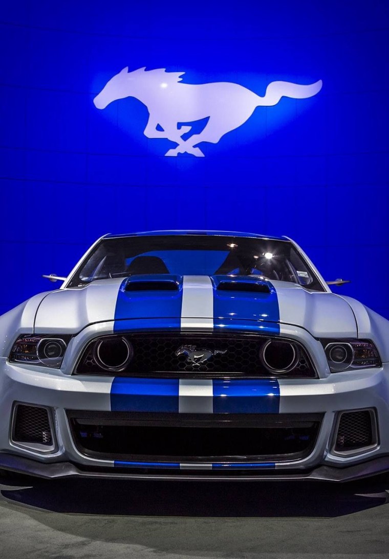 Ford Mustang 5 поколения Shelby