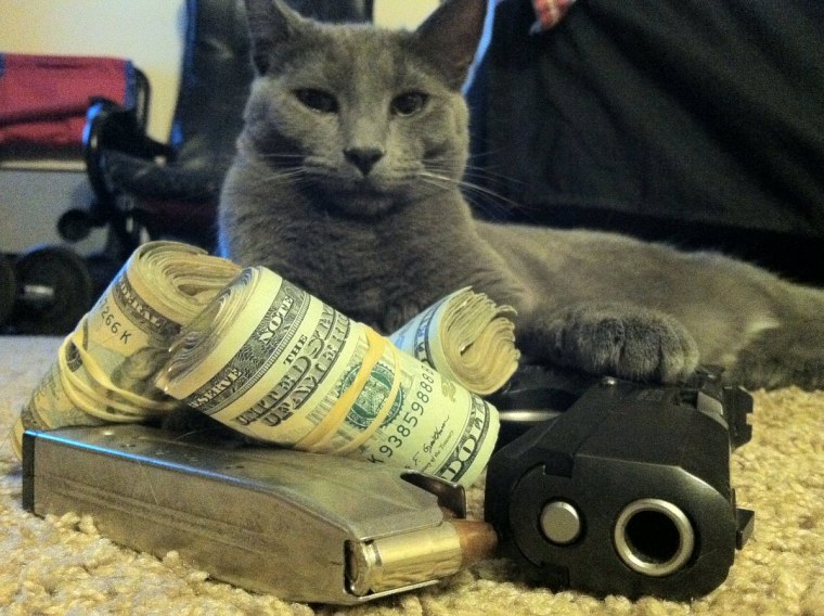 Коты с автоматами