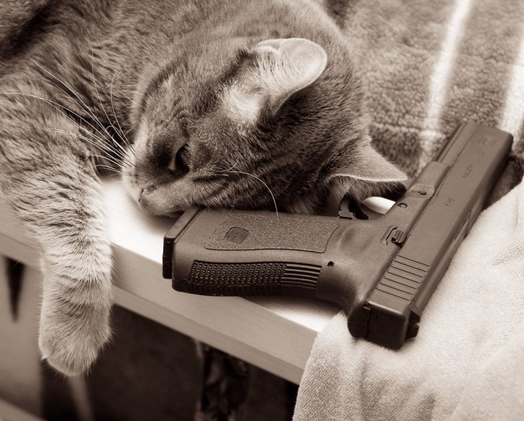 Белка с оружием