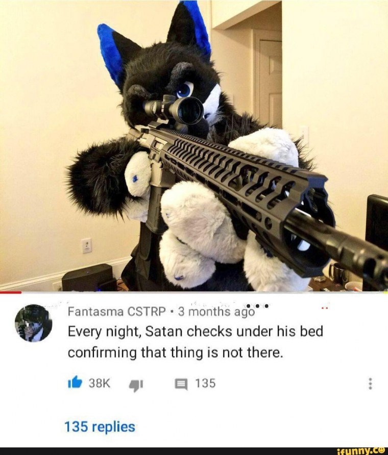 Крутые коты с пистолетами