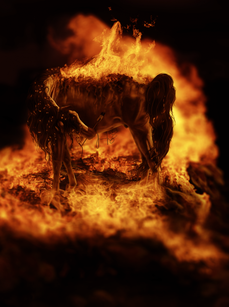 Горят мосты