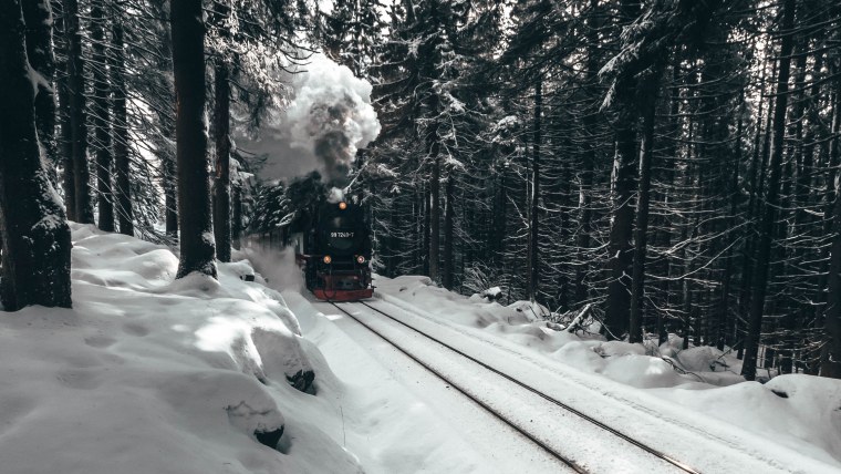 Поезд в лесу