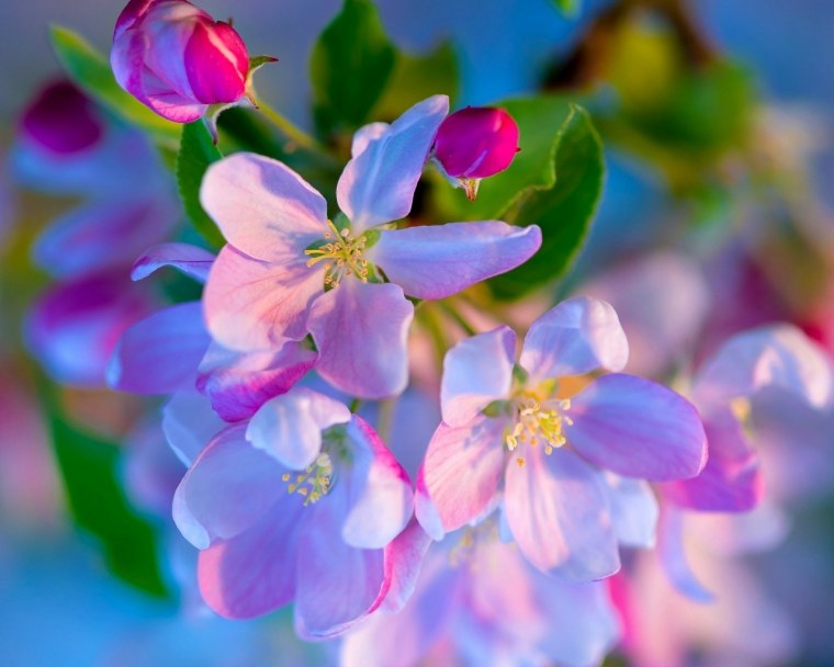 Весна тумблер