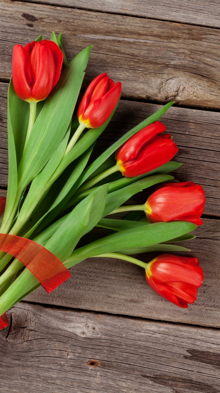 Большие красные тюльпаны