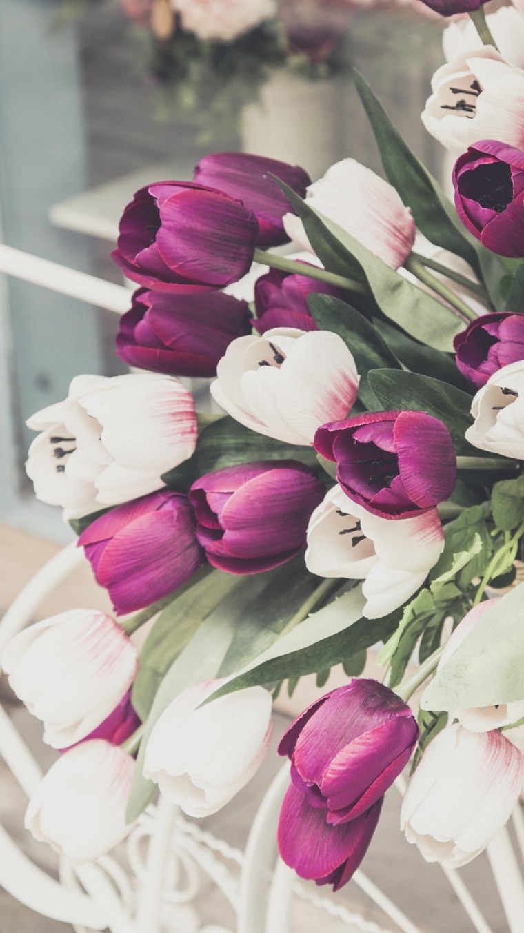 Тюльпан кремово розовый