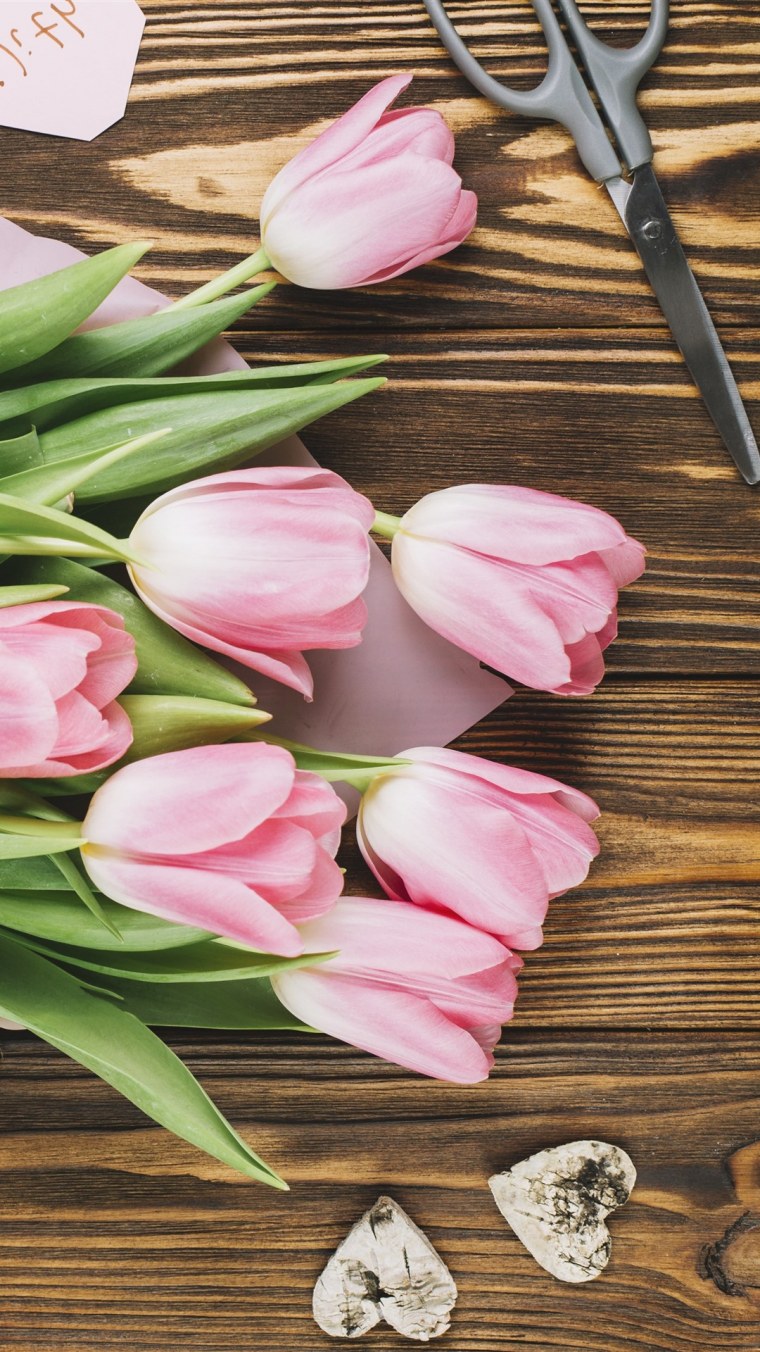 Тюльпаны оранжевые фиолетовые