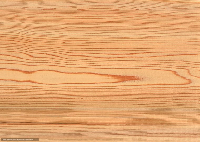 Береза текстура древесины