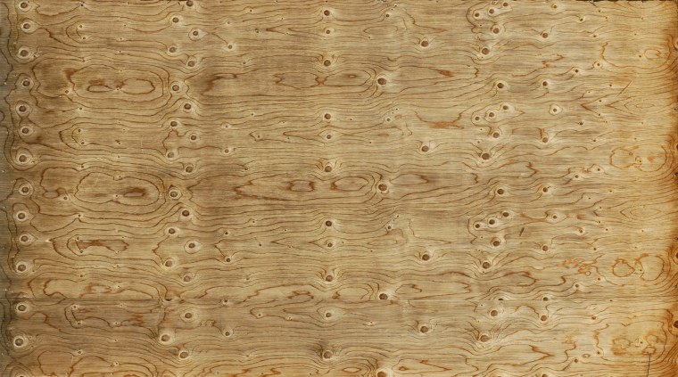 Фанера Березовая текстура