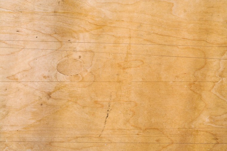 Береза текстура древесины