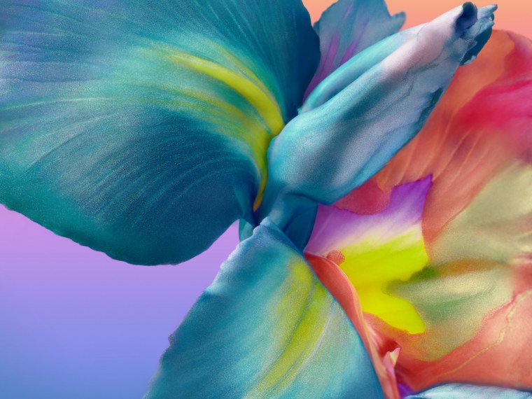 Обои Huawei p20 Pro стандартные