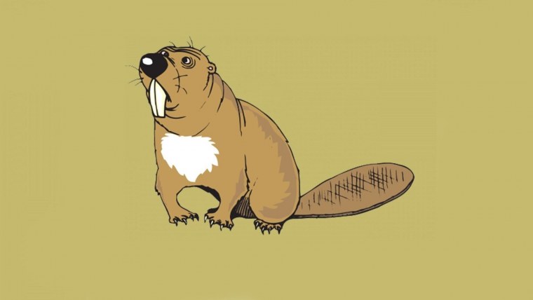 Бобер иллюстрация